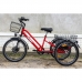 Електровелосипед трицикл VEGA Big Happy 500W/48V/10Ah/LCD червоний, VEGA Big Happy, Електровелосипед трицикл VEGA Big Happy 500W/48V/10Ah/LCD червоний фото, продажа в Украине