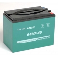 Тяговий акумулятор CHILWEE 6-EVF-45.2 (45 Ач, 12 В), CHILWEE 6-EVF-45.2, Тяговий акумулятор CHILWEE 6-EVF-45.2 (45 Ач, 12 В) фото, продажа в Украине