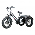 VEGA BIG HAPPY FAT 500 (Електровелосипед трицикл VEGA HAPPY FAT 500 2 АКБ, (black, 500W-48V Li-ion, 10Аh, 2 АКБ))
