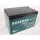 Аккумулятор BOSSMAN 6-DZM14 E для электровелосипеда (под винты), BOSSMAN 6-DZM14 E, Аккумулятор BOSSMAN 6-DZM14 E для электровелосипеда (под винты) фото, продажа в Украине