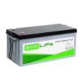 EcoLiFe 24-100  (Акумулятор LiFePO4 LiFe EcoLiFe 24-100)