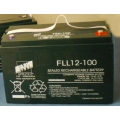 FAAM FLL12-100 (Аккумулятор FAAM FLL12-100 12В 100 Ач 331*176*218мм)