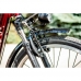 Электровелосипед трицикл VEGA Happy (синий, красный), VEGA Happy (синий, красный), Электровелосипед трицикл VEGA Happy (синий, красный) фото, продажа в Украине