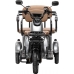фото Электроскутер трехколесный Crosser TR4 VAGON 800W 20AH, Crosser TR4 VAGON, Электроскутер трехколесный Crosser TR4 VAGON 800W 20AH фото товару, як виглядає Электроскутер трехколесный Crosser TR4 VAGON 800W 20AH дивитися фото