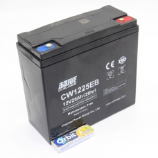 фото Тяговый аккумулятор GHILWEE CW1225EB - 25A/H , GHILWEE CW1225EB, Тяговый аккумулятор GHILWEE CW1225EB - 25A/H  фото товару, як виглядає Тяговый аккумулятор GHILWEE CW1225EB - 25A/H  дивитися фото