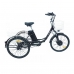 фото Електровелосипед дорожній триколісний Kelb.Bike 24" 500W 48V15AH (new) вилка з амортизатором, Kelb.Bike 24" 500W 48V15AH (new), Електровелосипед дорожній триколісний Kelb.Bike 24" 500W 48V15AH (new) вилка з амортизатором фото товару, я