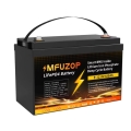 MFUZOP LiFePO4 12.8V 100Ah (Акумулятор MFUZOP LiFePO4 12.8V 100Ah)