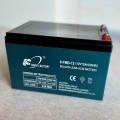 Xingfu Battery 6-FMD-12 (Акумулятор тяговий Xingfu Battery 6-FMD-12 12V 12Ah (аналог Tian Neng 6DZM12, Chilwee 6DZF12, LogicPower 6DZM12))