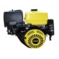 YBX 194FE DV-51-194FE(YB) (Бензиновый двигатель YBX 194FE (под шпонку 25 мм, 13 л.с., с электростартером) DV-51-194FE(YB))